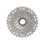 Campagnolo Super Record 12s Cassette 11-29