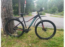 Orbea MX29 ENT kasutatud ratas