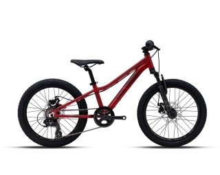 Polygon Relic20 Red lasteratas