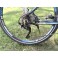 Corratec X-Vert 03 26 jooksudega kasutatud maastikuratas
